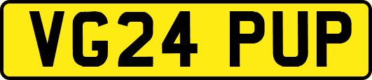 VG24PUP