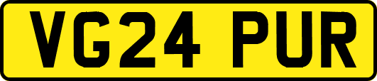 VG24PUR