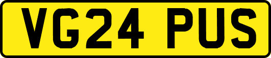 VG24PUS