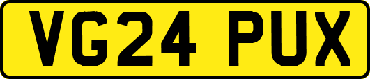 VG24PUX