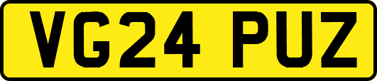 VG24PUZ
