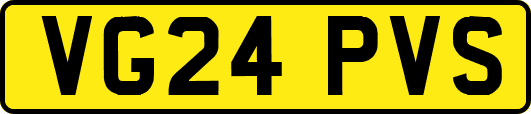 VG24PVS