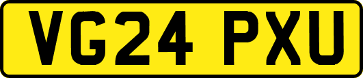 VG24PXU