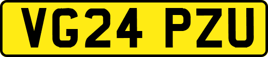 VG24PZU