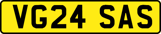 VG24SAS