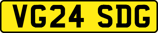 VG24SDG