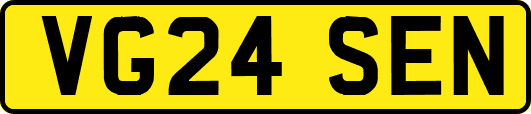 VG24SEN