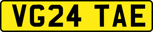 VG24TAE