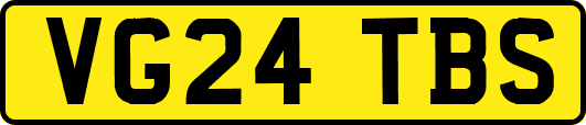 VG24TBS