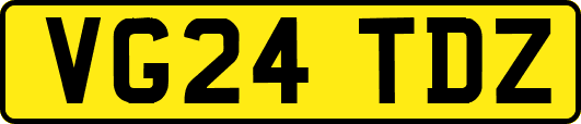 VG24TDZ