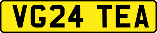 VG24TEA