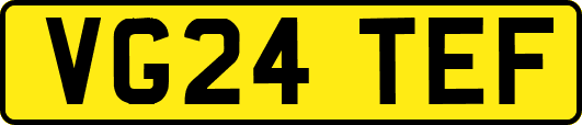 VG24TEF