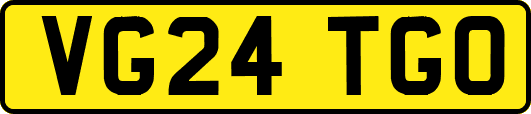 VG24TGO
