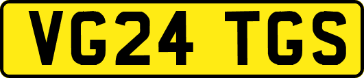 VG24TGS