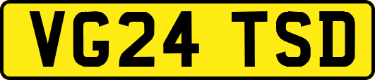 VG24TSD