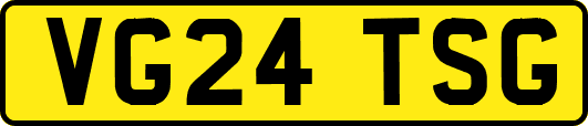 VG24TSG