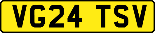 VG24TSV