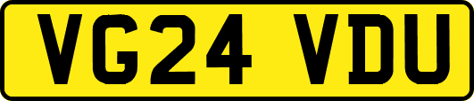 VG24VDU