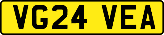 VG24VEA
