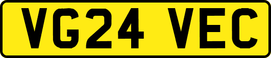 VG24VEC