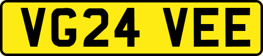 VG24VEE