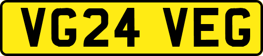 VG24VEG