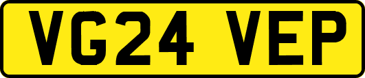 VG24VEP