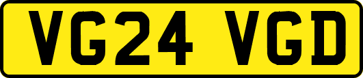 VG24VGD