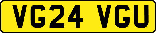 VG24VGU