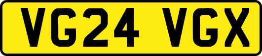 VG24VGX