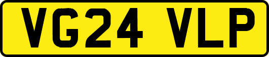 VG24VLP