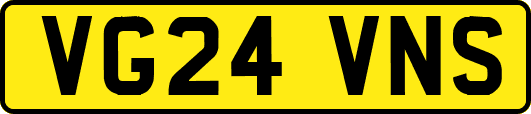 VG24VNS