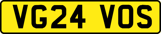 VG24VOS