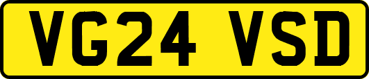 VG24VSD