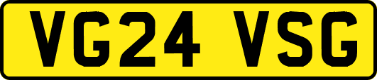 VG24VSG