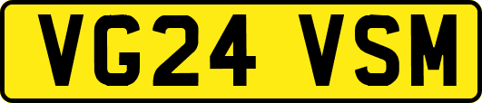 VG24VSM