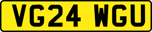 VG24WGU