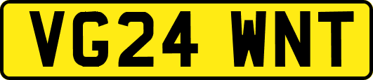 VG24WNT
