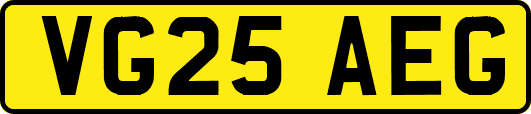 VG25AEG