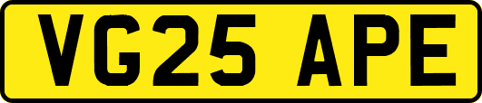 VG25APE