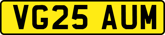 VG25AUM