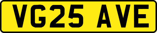 VG25AVE