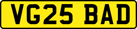 VG25BAD