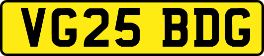VG25BDG