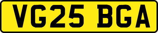 VG25BGA