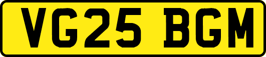 VG25BGM