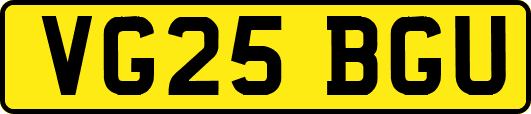 VG25BGU