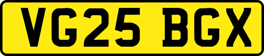 VG25BGX
