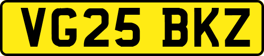 VG25BKZ
