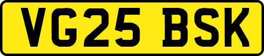 VG25BSK